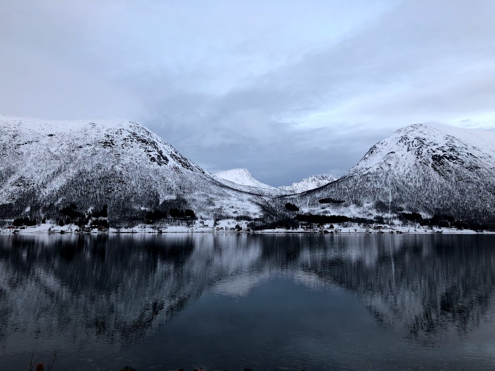Norwegian Fjords in Norway